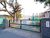 横浜市立南中学校まで646m