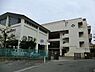 周辺：横浜市立森中学校まで796m