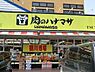 周辺：ハナマサ鶴川店まで885m
