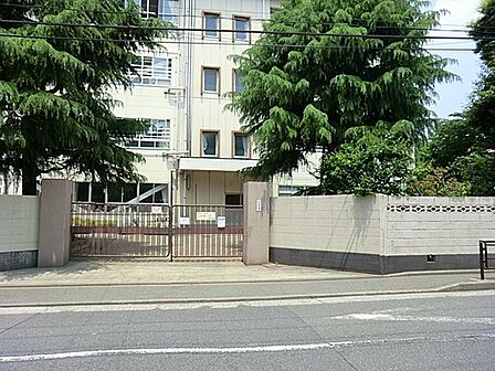 川崎市立住吉中学校まで548m