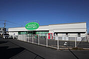 ダイソー東越谷店（701m）