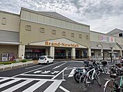 あすみが丘ブランニューモールまで1212m