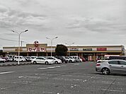セイミヤ 成田芝山店まで471m