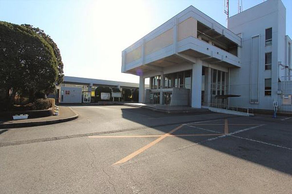Image 8
