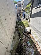 東側