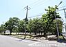 周辺：東大丸児童公園まで293m