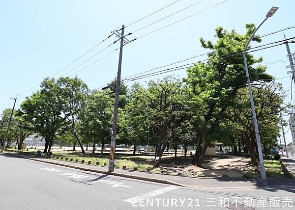 周辺を拡大表示