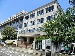 [周辺] 川崎市立南加瀬小学校まで760m、平坦地だから低学年のお子さんも通学ラクラク