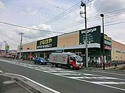 いなげや大和高座渋谷店まで1200m、いなげや大和高座渋谷店