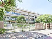 川崎市立井田小学校まで900m、川崎市立井田小学校