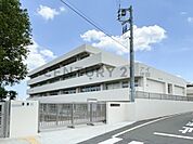 横浜市立菅田の丘小学校まで1000m、横浜市立菅田の丘小学校