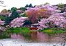 周辺：神奈川県立三ツ池公園まで1900m、神奈川県立三ツ池公園