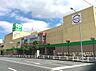 周辺：サミットストア下倉田店まで200m、サミットストア下倉田店