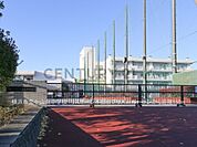 横浜市立小山台中学校まで550m、横浜市立小山台中学校