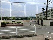 茅ヶ崎市立今宿小学校まで590m、茅ヶ崎市立今宿小学校