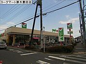 ヨークマート厚木妻田店まで1465m