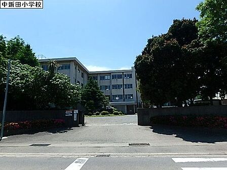 海老名市立中新田小学校まで1279m