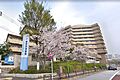 国家公務員共済...