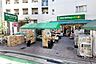 周辺：マルエツプチ渋谷神泉店まで290m