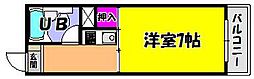 メゾンヤマモト 2階/-