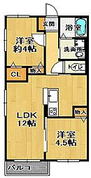 ルミエール ハルム 2階/-