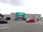 ニトリ富田林店まで1375m