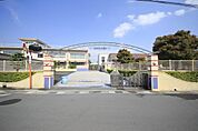 めぐみ幼稚園まで142m