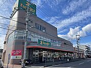 イワキ　淀店まで1724m