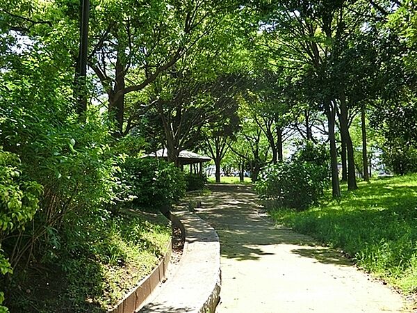 周辺を拡大表示