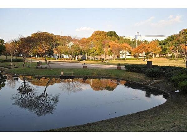 周辺を拡大表示