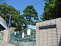 川崎市立中原小...
