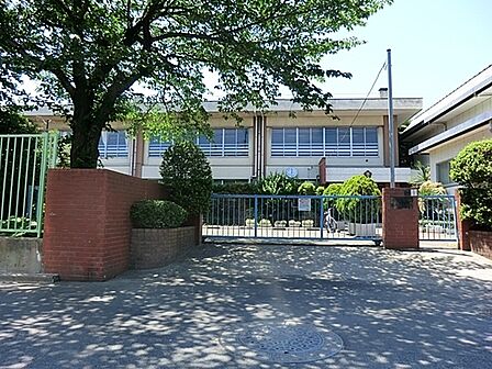 川崎市立南河原小学校まで1111m