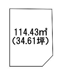 条件無