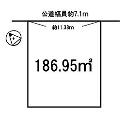 条件無