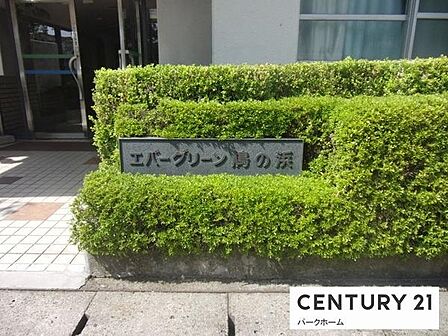 【エントランス】現地写真です