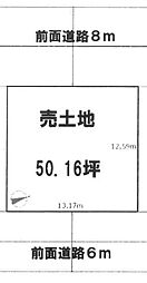 条件無