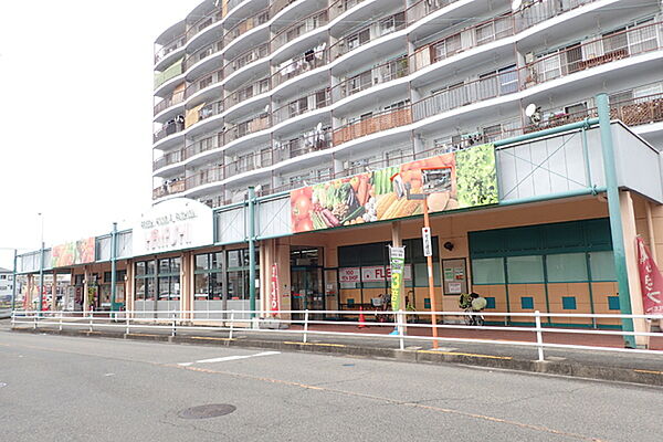 画像22:スーパーはやし 富木店まで478m