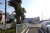 ウエルシア高石高師浜店まで344m