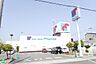 周辺：万代堺草部店まで562m