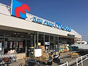 万代泉北深阪店まで843m