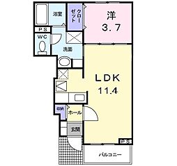 カーサ プラシード1 1階/-