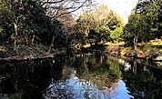 むじなが池公園まで1031m