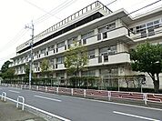横浜市立緑小学校まで514m
