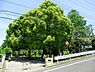 周辺：貝塚公園まで452m、広場が3箇所に分かれている広い公園。ユニークな遊具は小さい子におすすめ。その他滑り台、ブランコ、砂場、鉄棒もあります。
