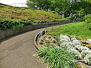 平戸みはらし公園まで829m、坂を少し上ると、散歩に寄りたくなる見晴台があります。春には地域の方々が大切に育てた花壇や桜、つつじが綺麗です