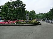 鹿沼公園まで503m、自動交通公園が併設された広い公園。白鳥池には白鳥のほかにもカモやカメ、コイがおり、公園の人気者です。