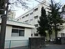 周辺：横浜市立常盤台小学校まで336m