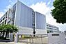 周辺：川崎市立高津小学校まで631m