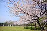周辺：長久保公園まで894m