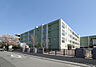 周辺：川崎市立東高津小学校まで284m